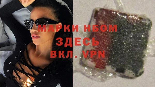 стаф Арсеньев